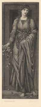 Flora