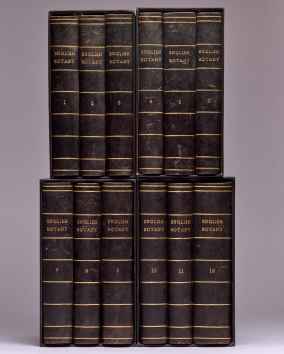 English Botany: or, coloured Figures of British Plants, with the&hellip;