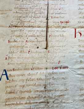 Likely of Norman French or English origin