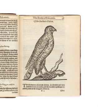 The Booke of Falconrie or Hawking