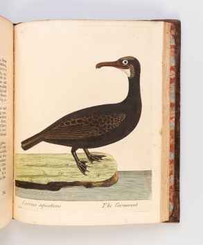 A natural history of birds ... published by the author&hellip;