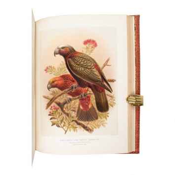 A History of the Birds of New Zealand